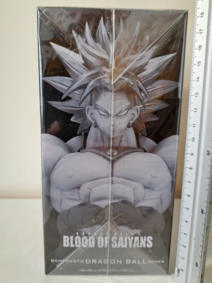 Super Saiyan Broly Blood Of Saiyans Dragon Ball Z Banpresto Anime Figure